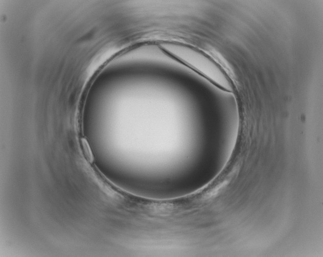 X0000089360893200706151131