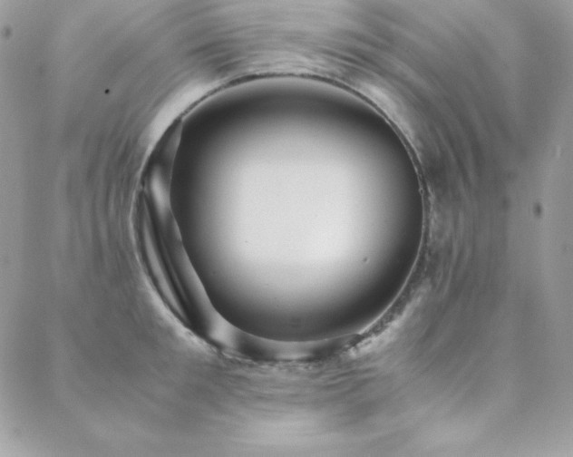 X0000089360901200706151130
