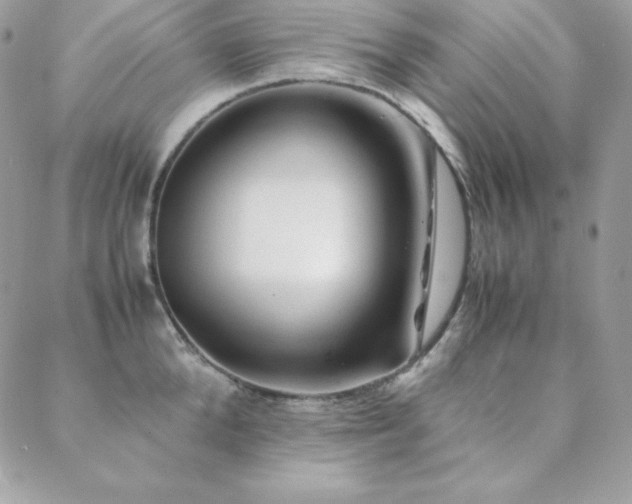 X0000089360904200706151130