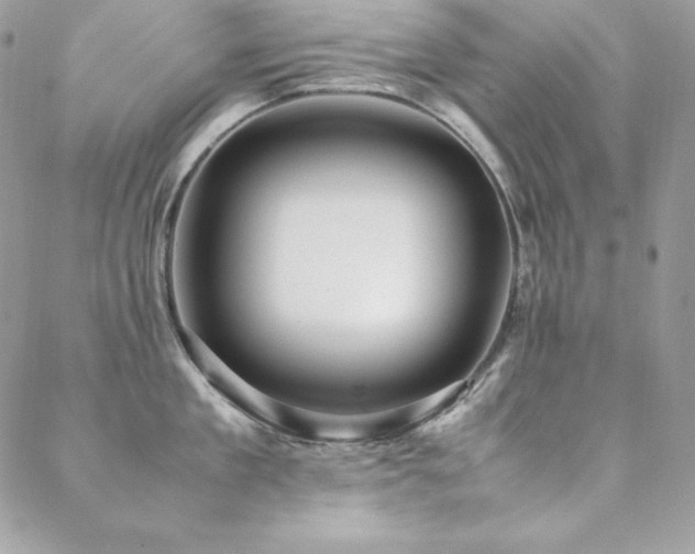 X0000089360909200706151130