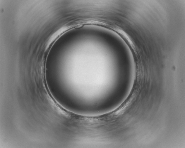 X0000089360910200706151130