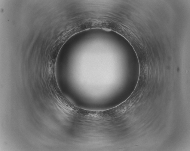 X0000089360914200706151129