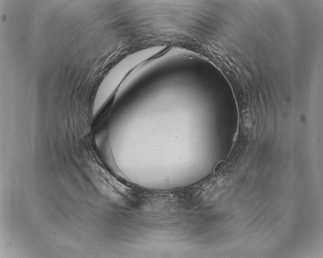 X0000089360916200706151129