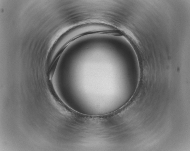 X0000089360934200706151130