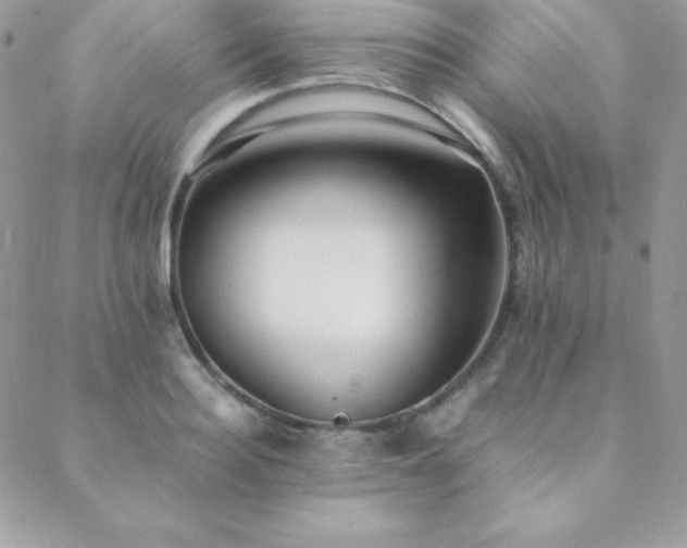 X0000089360940200706151130