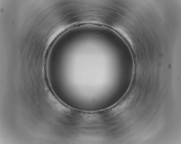 X0000089360941200706151130