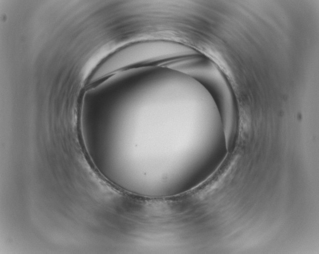 X0000089360944200706151130