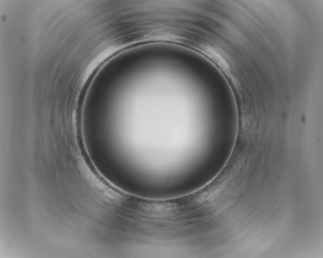 X0000089360947200706151130