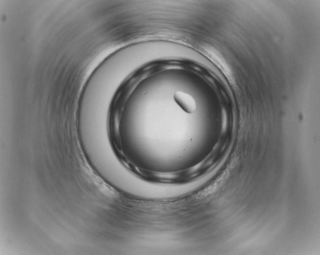 X0000089360948200706151130