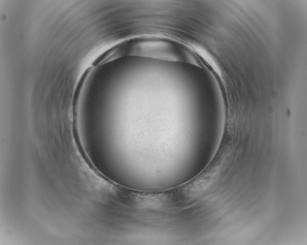 X0000089360951200706151130