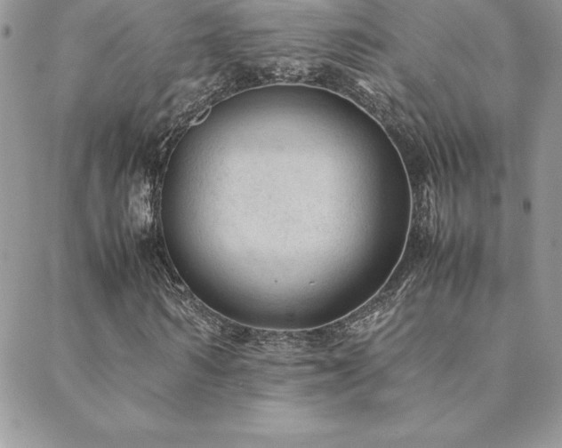 X0000089360962200706151129