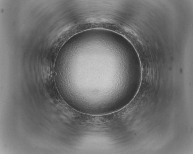 X0000089360966200706151129