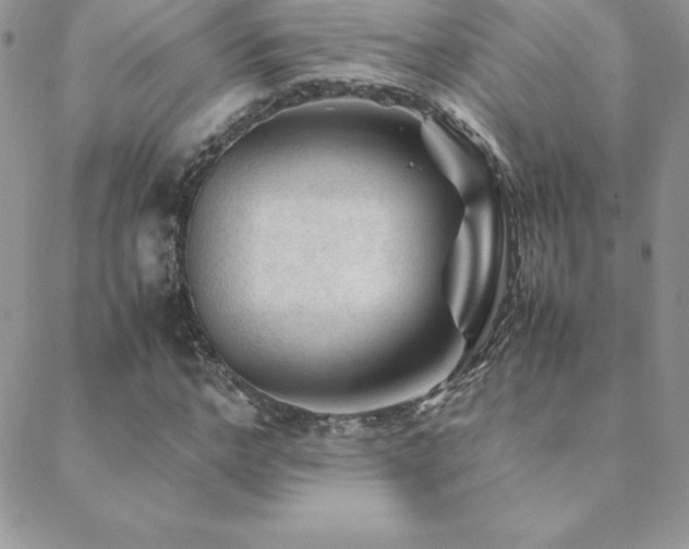 X0000089360968200706151129