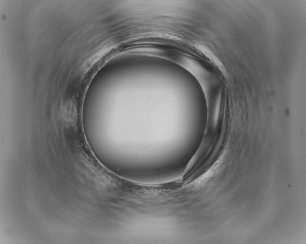 X0000089360969200706151129
