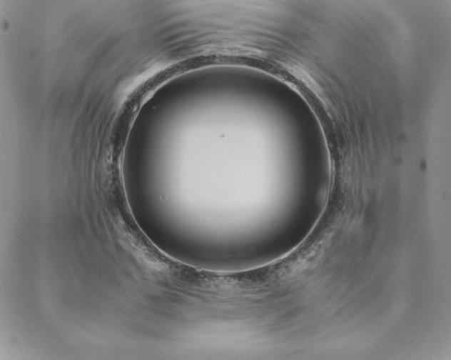 X0000089360971200706151129