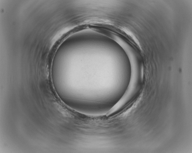 X0000089360973200706151129