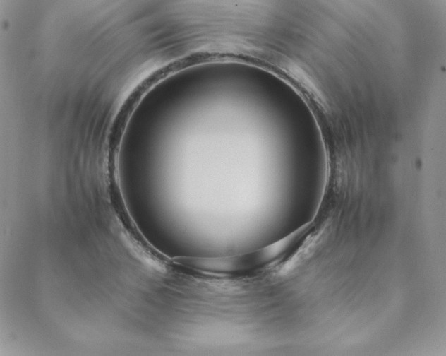 X0000089360976200706151129