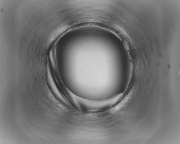 X0000089360977200706151129
