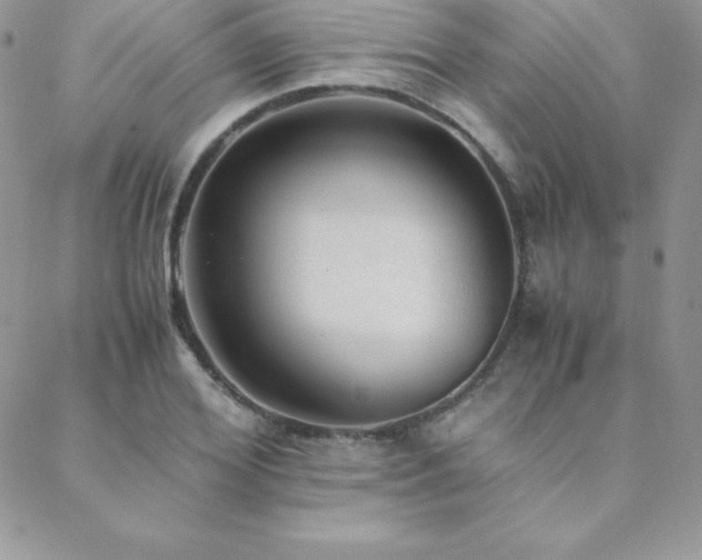 X0000089360980200706151129