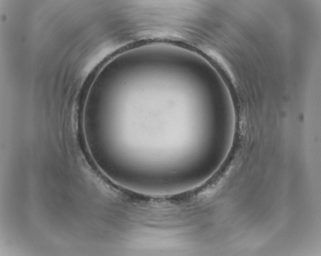 X0000089360983200706151129
