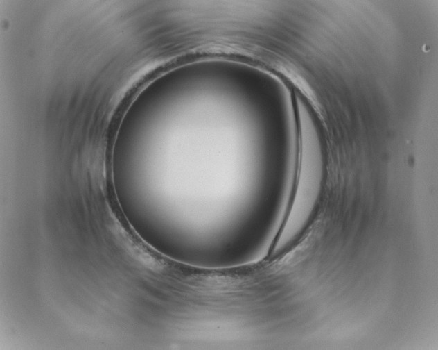 X0000089360984200706151129