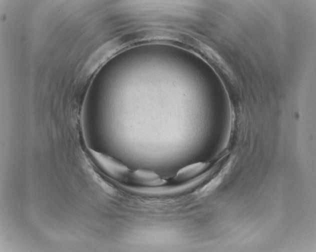 X0000089360985200706151129