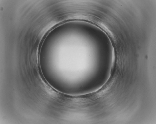 X0000089360988200706151129