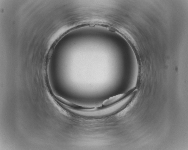 X0000089360989200706151129