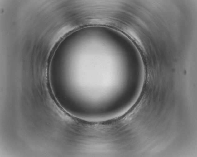 X0000089360992200706151129