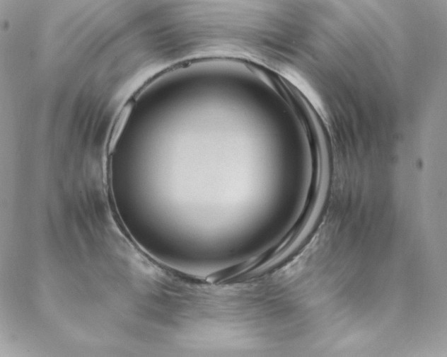 X0000089360996200706151129