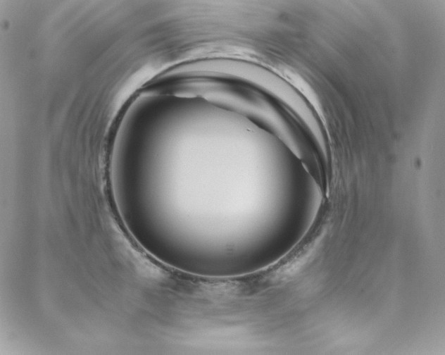 X0000089360997200706151129