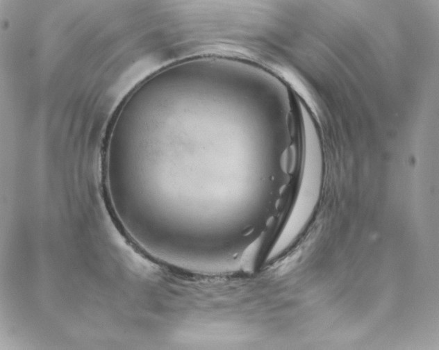 X0000089360999200706151129