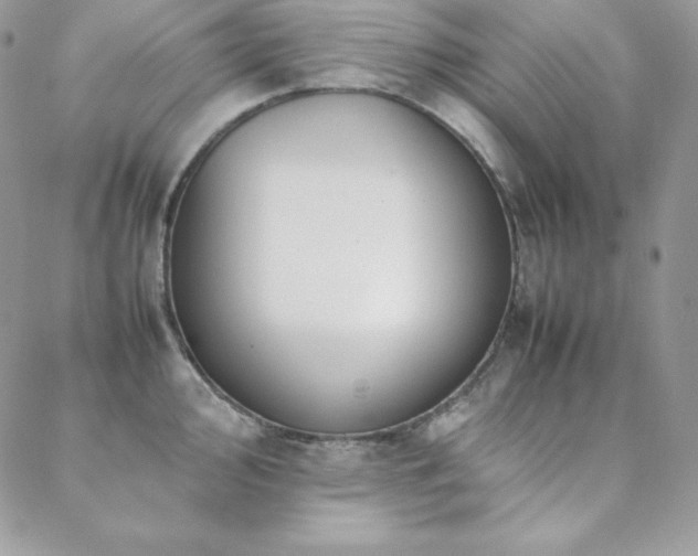 X0000089361000200706151129