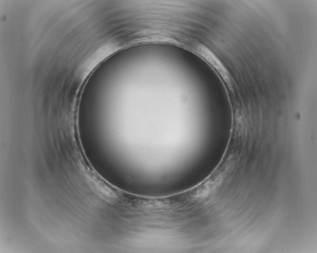 X0000089361002200706151129