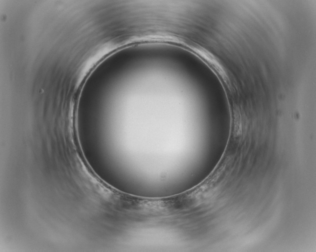 X0000089361006200706151129