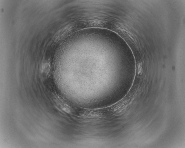 X0000089361011200706151128