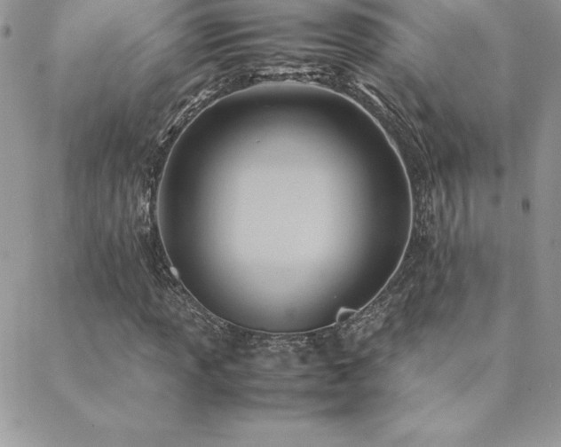 X0000089361013200706151128