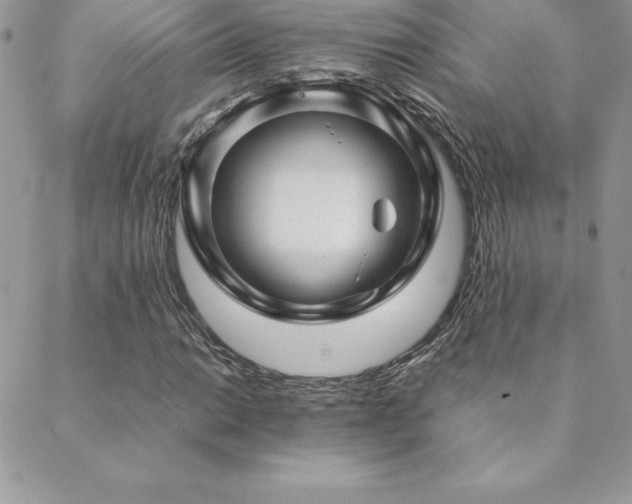 X0000089361014200706151128