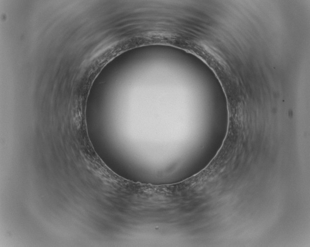 X0000089361015200706151128