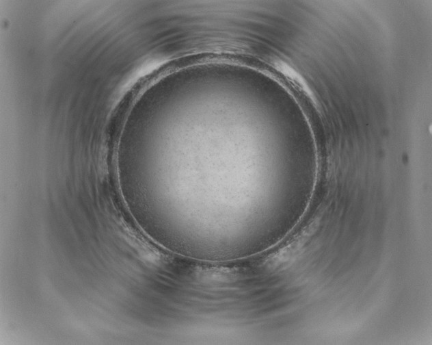 X0000089361019200706151128