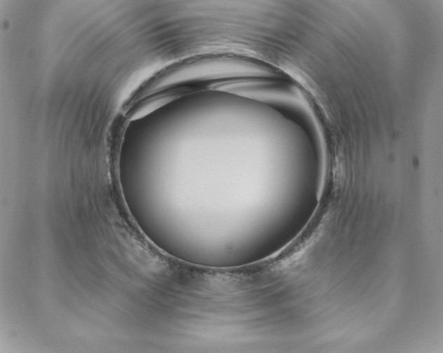 X0000089361022200706151128