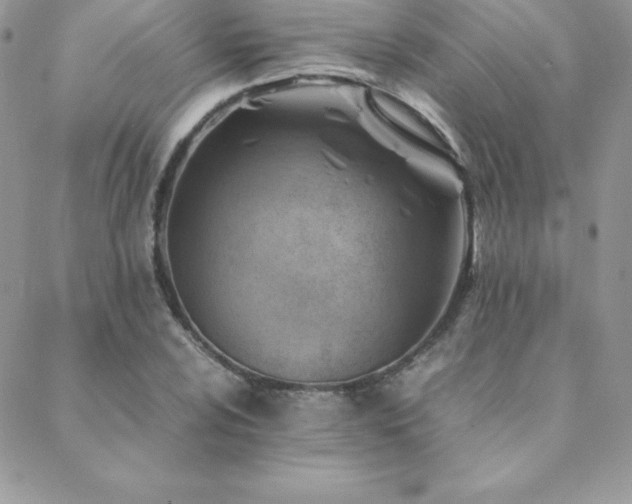X0000089361024200706151128