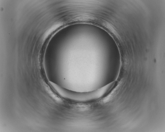 X0000089361026200706151128