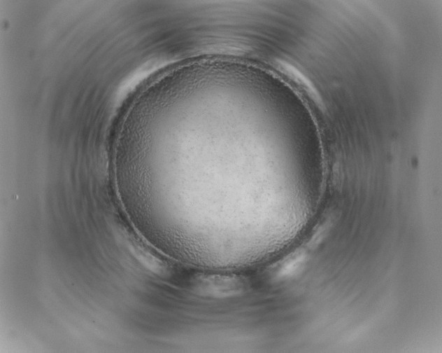 X0000089361027200706151128
