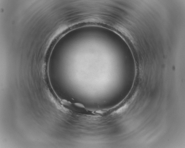 X0000089361029200706151128
