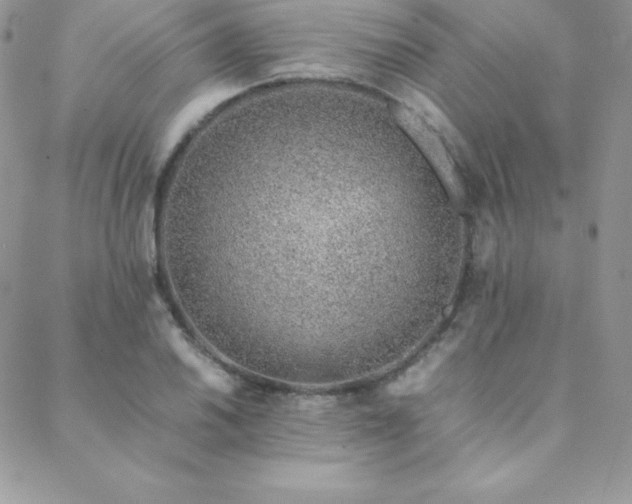 X0000089361030200706151128