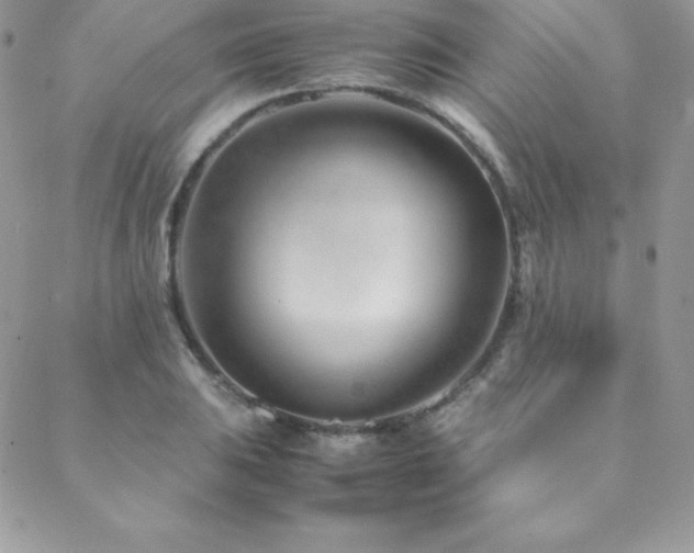 X0000089361031200706151128