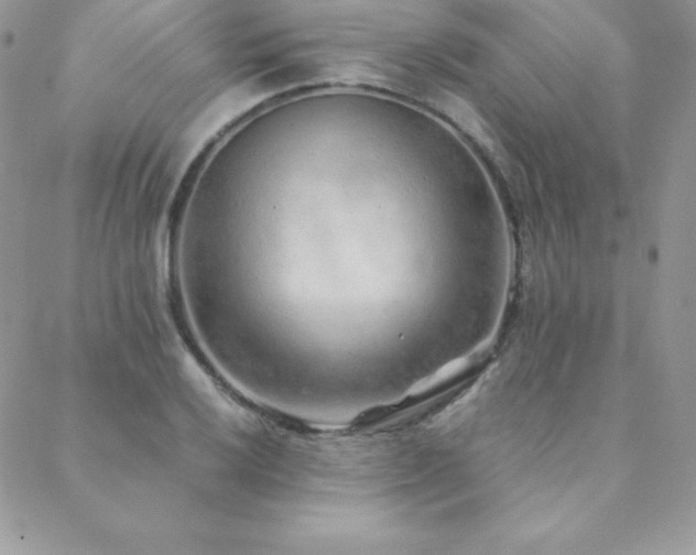 X0000089361032200706151128