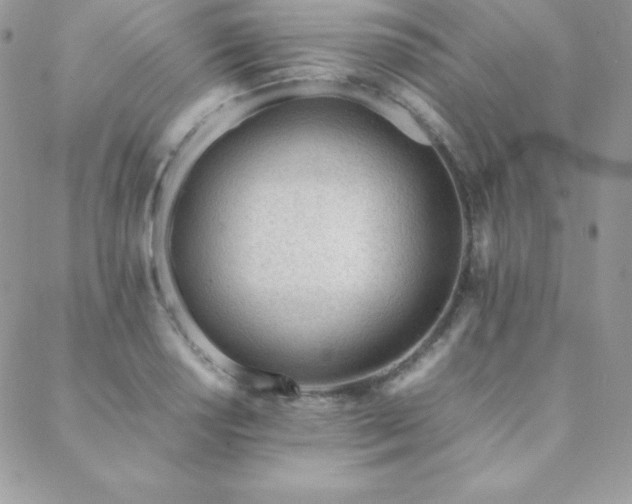 X0000089361034200706151128
