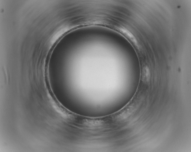 X0000089361039200706151128